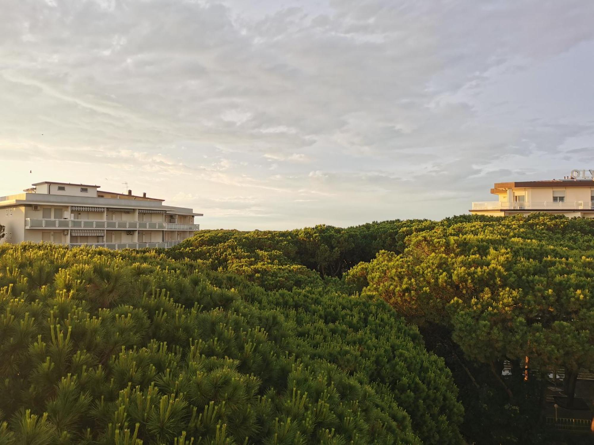 Hotel Pine Beach Rosolina Mare Zewnętrze zdjęcie